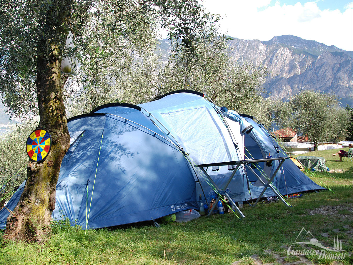 Camping unter Olivenbäumen - mit dem Zelt am Gardasee