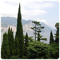Blick über den Gardasee Gardasee, Tremosine