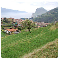 Blick von Tremosine auf Gardasee Tremosine, Gardasee, Italien