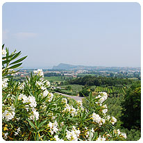 Blick von Polpenazze nach Manerba und zum Gardasee Panorama, Gardasee