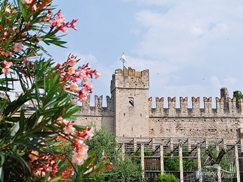 Burg, Castello di Torri del Benaco, Limonaie, Gardasee, Italien
