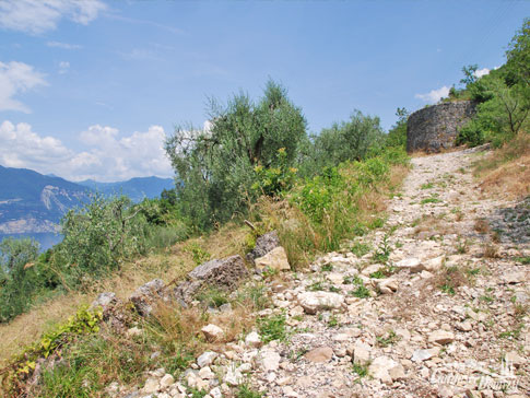 Grotta Tanella, Pai di Torri del Benaco,Gardasee, Italien