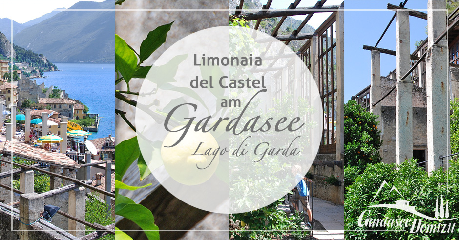 Limonaia del Castèl, Limone am Gardasee - Gardasee-Domizil.de