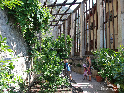 Gewächshaus der Limonaia del Castel in Limone sul Garda am Gardasee, Italien