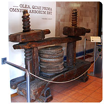 Eine alte Ölpresse im Olivenölmuseum von Cisano Oelpresse, Museum, Cisano, Gardasee