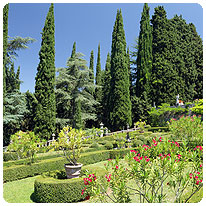 Park, Pflanzen, Sigurta Giardini, Gardasee