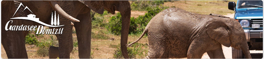 Safaripark, Gardasee