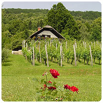 Valpolicella, Italien