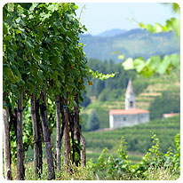 Valpolicella, Italien Valpolicella, Italien